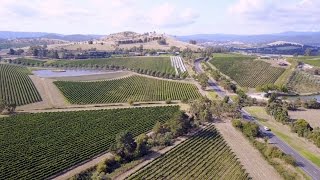 EXPLORING YARRA VALLEY