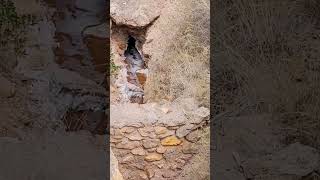 Les salines de Maras cusco Pérou #saline #cuscoperu #youtube #maras