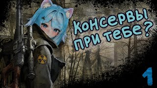 Сталкер, я тут впервые【STALKER Dead City Epilogue】 【Day 121】