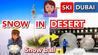 🏜️RAIGISTAN mein BARAF ❄️ ka MAZA / SKI DUBAI : A SKI RESORT IN DESERT/Summer Activities in UAE