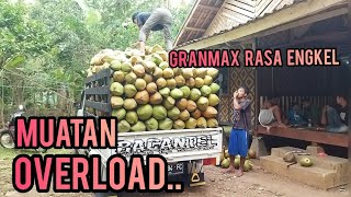 Granmax pickup muatan overlod kelapa muda lagi 🤔🤔