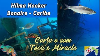 Mergulho no Naufrágio do Hilma Hooker Bonaire Caribe - curte o som Toca's Miracle Fragma Dance Music