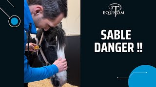 Sable: Danger!!