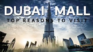 Dubai Travel Guide - Top Reasons To Visit The Dubai Mall On Your Dubai Tour