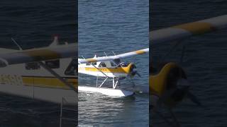 DHC-2 Beaver Seaplane Takeoff