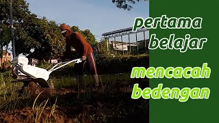 Pertama kali Belajar  kultivator Quick Kasuari - mencacah bedengan