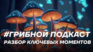 Деньги, отношения, питание. С чем работают грибы на ретрите.