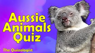 Name the Australian Animals Quiz