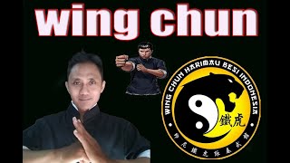 wing Chun Harimau Besi Indonesia self defence