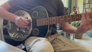 Johnson Resonator Guitar