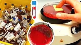 يوم كامل في حياة طالبة طبّ مخبري 👩‍🔬🩸💉🧫🧬