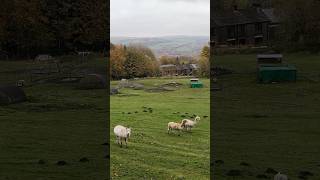 Countryside #Manchester #england #countryside #countrylife #slowliving #travel