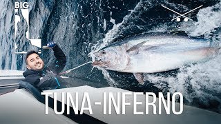 BEST BLUEFIN TUNA FISHING WORLDWIDE / Big L angelt  in Irland Thunfisch