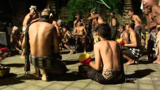 Children Cockfight Dance. Bali