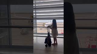 A stroller you can bring in the plane