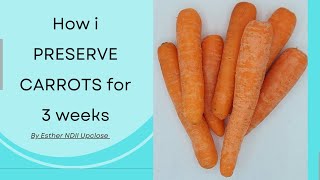 How to  PRESERVE CARROTS for 3 Weeks