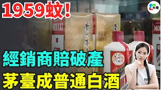 全線暴跌！飛天茅臺跌破2000蚊/支！歷史最平價！供不應求到現貨堆積，黃牛失去生存空間！經銷商賠到執笠！白酒行業究竟怎麼了？