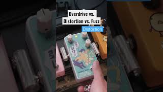 Overdrive vs. Distortion vs. Fuzz Pedals 🦉✨ | #pedalboard #guitar #effectspedals