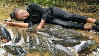 Harvesting natural giant fish from shallow streams to sell - Cooking | Ly Thi Tam