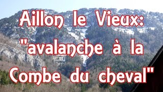 LES BAUGES:"Aillon le Vieux , avalanche à la Combe du cheval"