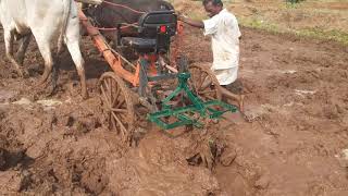 Blade plow after paddy cultivation | நெல் அறுவடைக்கு பின் கத்தி கலப்பையை உழவு