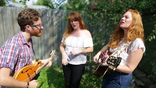 Gingerbomb "Company"