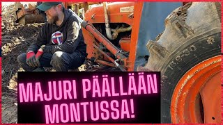 Fordson Super Major montussa päällään. Jumissa ollaan!