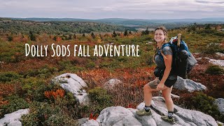 Fall Adventure in the Dolly Sods