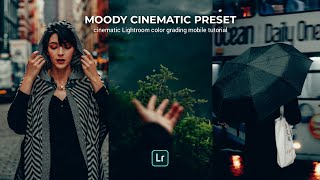 Edit like a Pro with these Lightroom settings |  cinematic colour grading tutorial #490