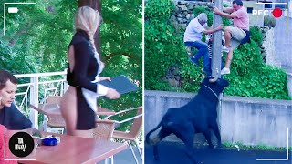 TOTAL IDIOTS AT WORK Caught On Camera / Instant Regret Fails Compilation 2024 #61