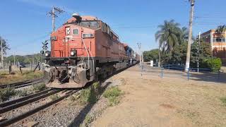 rumo graneleiro carregado de fertilizantes na frente duas locomotiva e vazio no meio em zxi