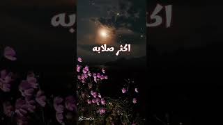 عيد ميلاد سعيد يا انا🎉🎉🎉🎀🎀🎀