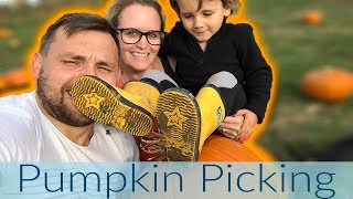 Pumpkin Picking 🎃 🎃 🎃