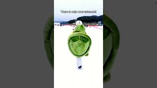 OMG the ninja turtle snowboarder! #snowboard #ski #skateboard #rollerskate #turtleprotector