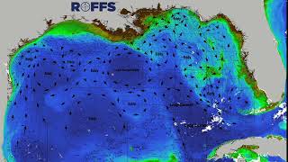 Gulf of Mexico Ocean Conditions Update - 08/15/2023