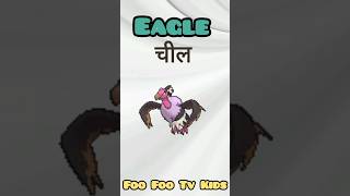 Birds Name in Hindi & English🦆पक्षियों के नाम #birdsnames #birds #kids #viralshort  #shorts