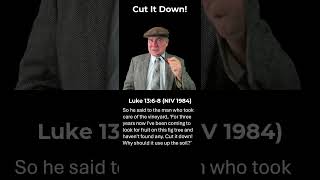 Bible Reading: Cut It Down! #bible #bibleverses #biblereading