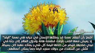 ليالي تزهرُ حُباً وفرحاً ياللهِ🤎🌱 اعتذر عن قلة تفاعلي