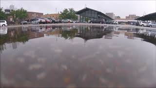 A Puddle's View