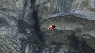 Valley Flight - Wingsuit Flying in 4K