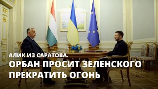 Орбан просит Зеленского прекратить огонь. Алик из Саратова