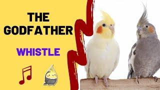 THE GODFATHER with WHISTLE - Whistling Songs For Birds - Cockatiel Singing - Parrot Talk