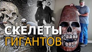 Скелеты гигантов