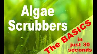 Algae Scrubber basics in 30 seconds