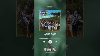 AGRO RAÍZ #musica