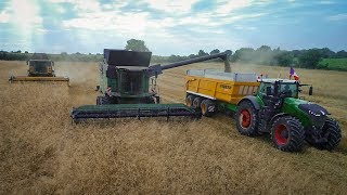 FENDT 1042/930 | NEW HOLLAND CR 8.80 & FENDT 8380p | Moisson d'avoine 2018