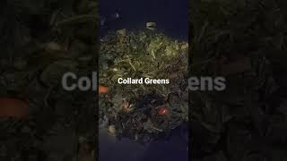 Fresh Collard Greens