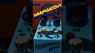 Harmonious MOnk Tremolo Unboxing and Playthrough\ #guitar #review #unboxing #tps #pedalboard #effect