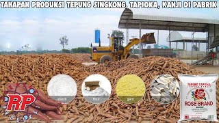 BEGINI PROSES PRODUKSI PEMBUATAN TEPUNG TAPIOKA | PROSES PEMBUATAN TEPUNG KANJI SINGKONG