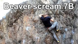 Beaver scream 7B - Kaitalahti